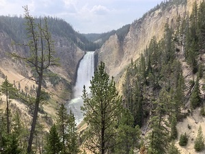 Yellowstone - Grand Canyon of the Yellowstone Falls